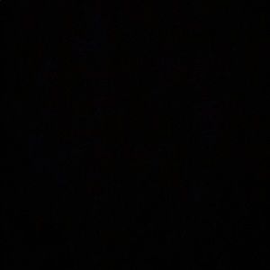 Meet your Posher, Devona